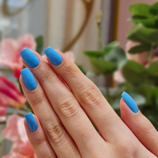 Lavish Nail and Cosmetics Lounge #beograd