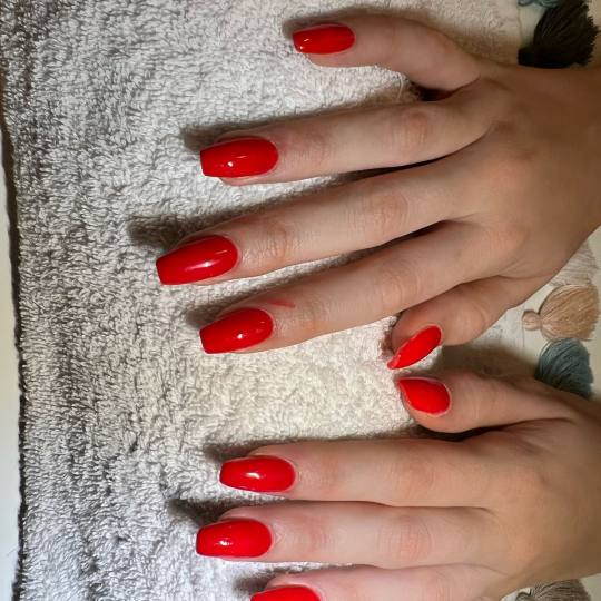 Persefona beauty #beograd