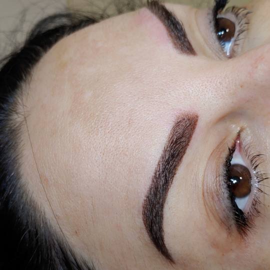 Gloss studio #nis Obrve Puder obrve + prva korekcija - do 3 meseca