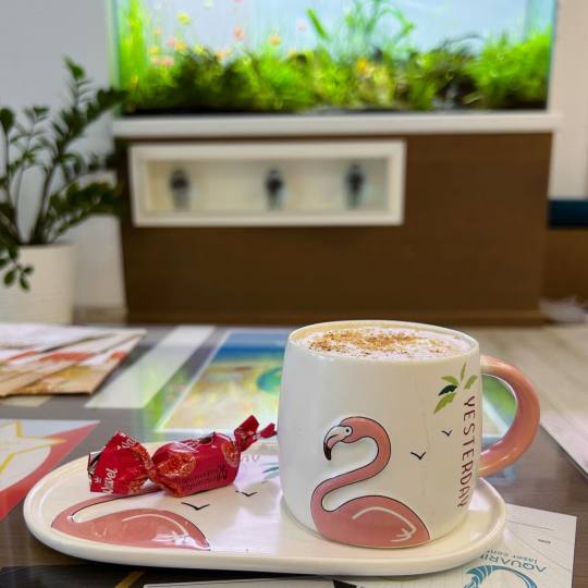 Laser centar Aquarius - Novi Beograd #beograd Najlepša kafica na lokaciji Novi Beograd 😊📌