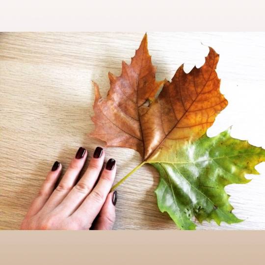 Alfaparf Nails #beograd