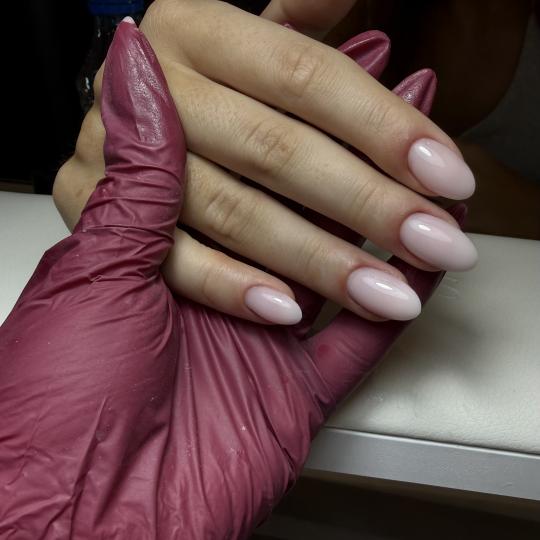 Peggy Concept usluga