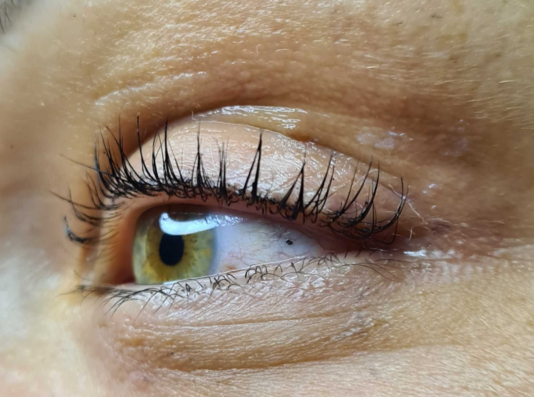 SunBox #beograd Trepavice Lash lift