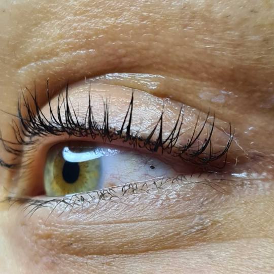 SunBox #beograd Trepavice Lash lift Tretman se moze uraditi na trepavicama svih duzina #lashlift #vi