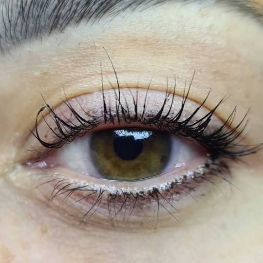 SunBox #beograd Trepavice Lash lift