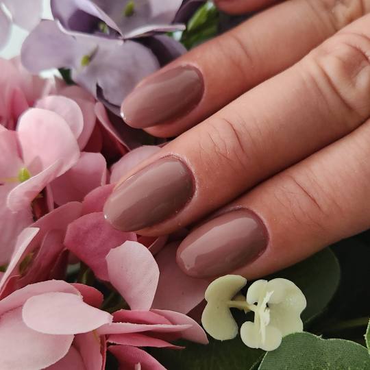 Mango beauty studio usluga