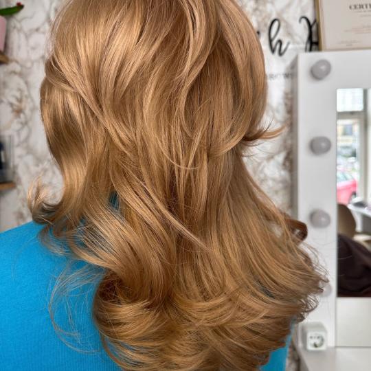 Beauty house by Marina #novisad Farbanje kose Farbanje cele dužine - 80 grama farbe