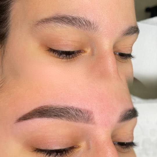 Zeta #beograd Obrve Airbrush brows Farbanje obrva sa mini kompresorom i farbama koje traju na kozi i