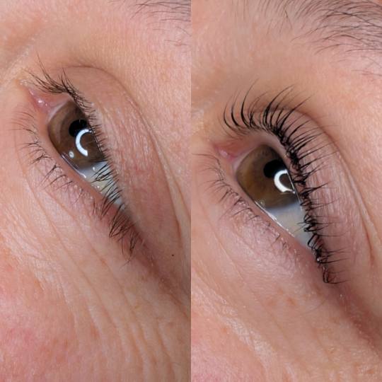 Brow & Glow #novisad Trepavice Lash lift