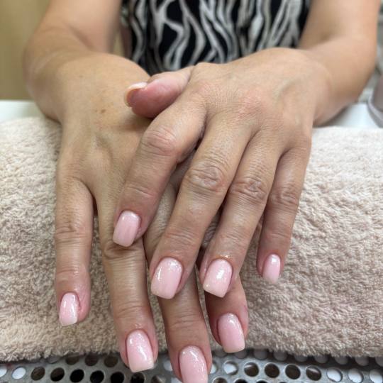 Nikola @ Aleksa usluga