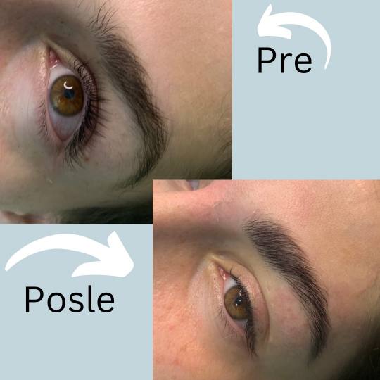Gaga G&T #beograd Obrve Brow lift + farbanje obrva Brow lift - podizanje dlaka na obrvama ili lamina
