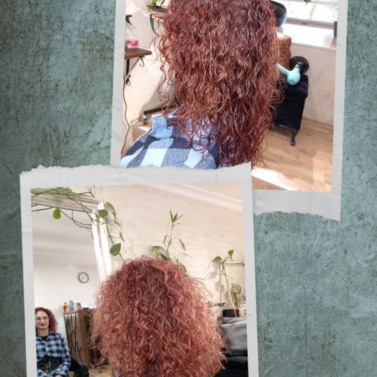 Frizerska Radionica usluga