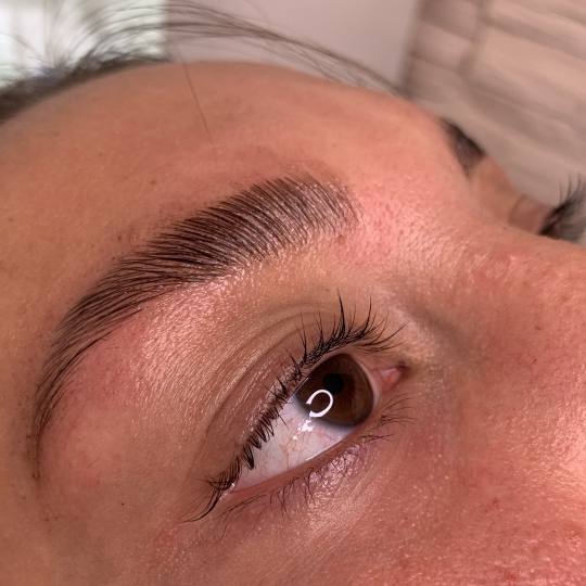 Monami beauty #beograd Obrve Brow lift + farbanje obrva