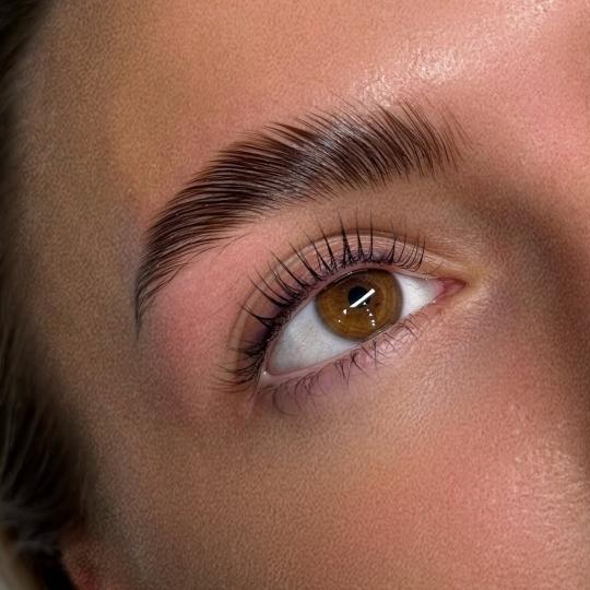 Esthetique Privé #beograd Obrve Brow lift + lash lift + farbanje obrva i trepavica