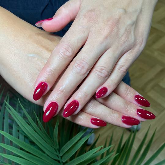 Beauty room Zvezdara usluga