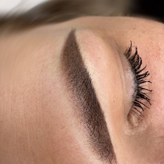 Ven Anita Studio #ada Obrve Puder obrve