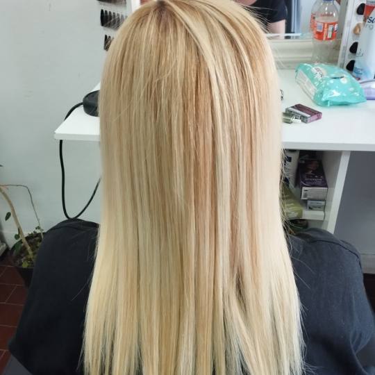 Shiny Look Gordina #nis