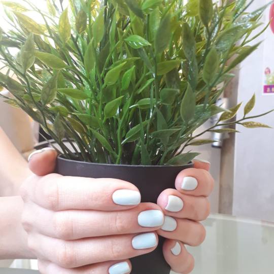 Bibi beauty centar #beograd Manikir Manikir + lakiranje noktiju manikir