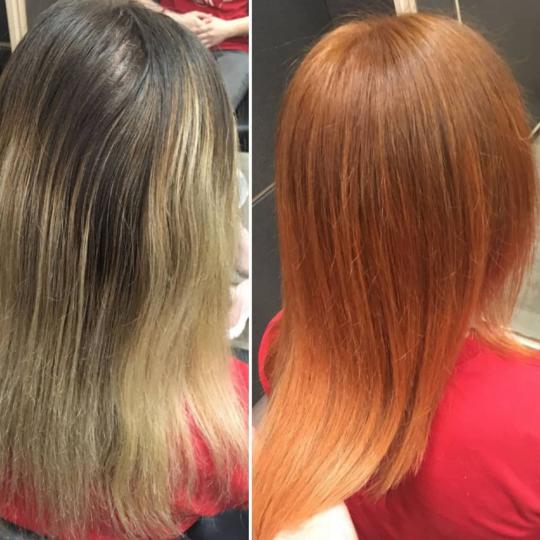 Royal cut - No Limit #beograd