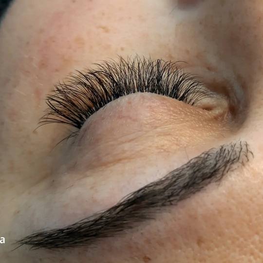 Albina Unisex Studio Lepote #temerin Nadogradnja trepavica Nadogradnja volumenskih trepavica 3D + ob