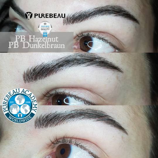 Zirna Exclusive Beauty Center #novisad Obrve