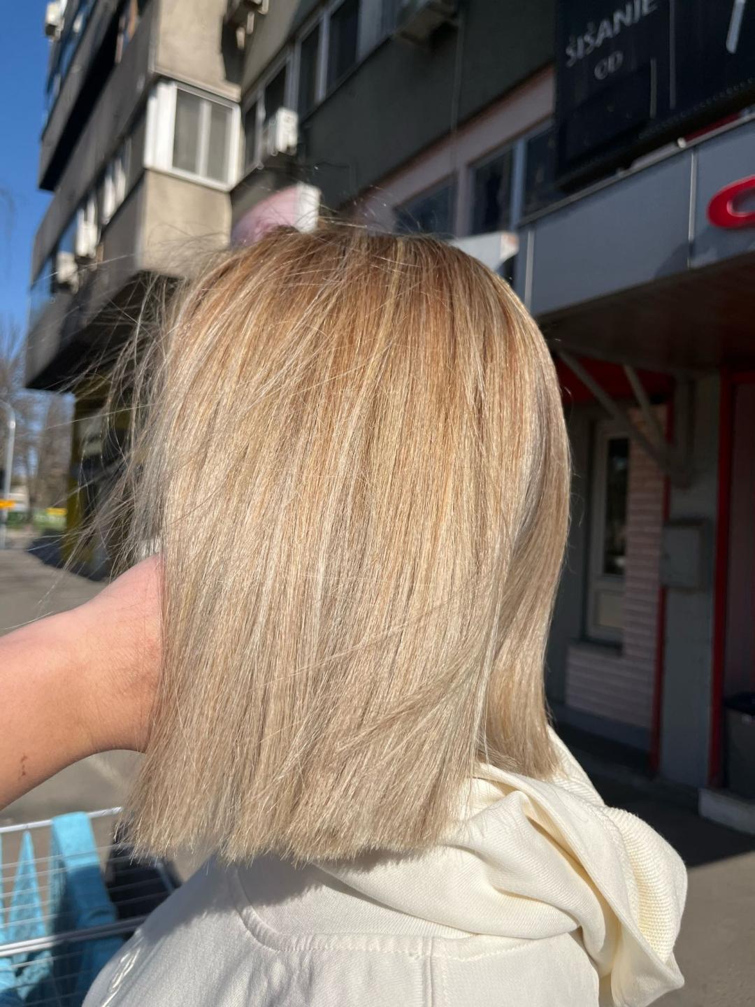 Royal cut - No Limit #beograd Pramenovi Pramenovi na foliju - duga kosa