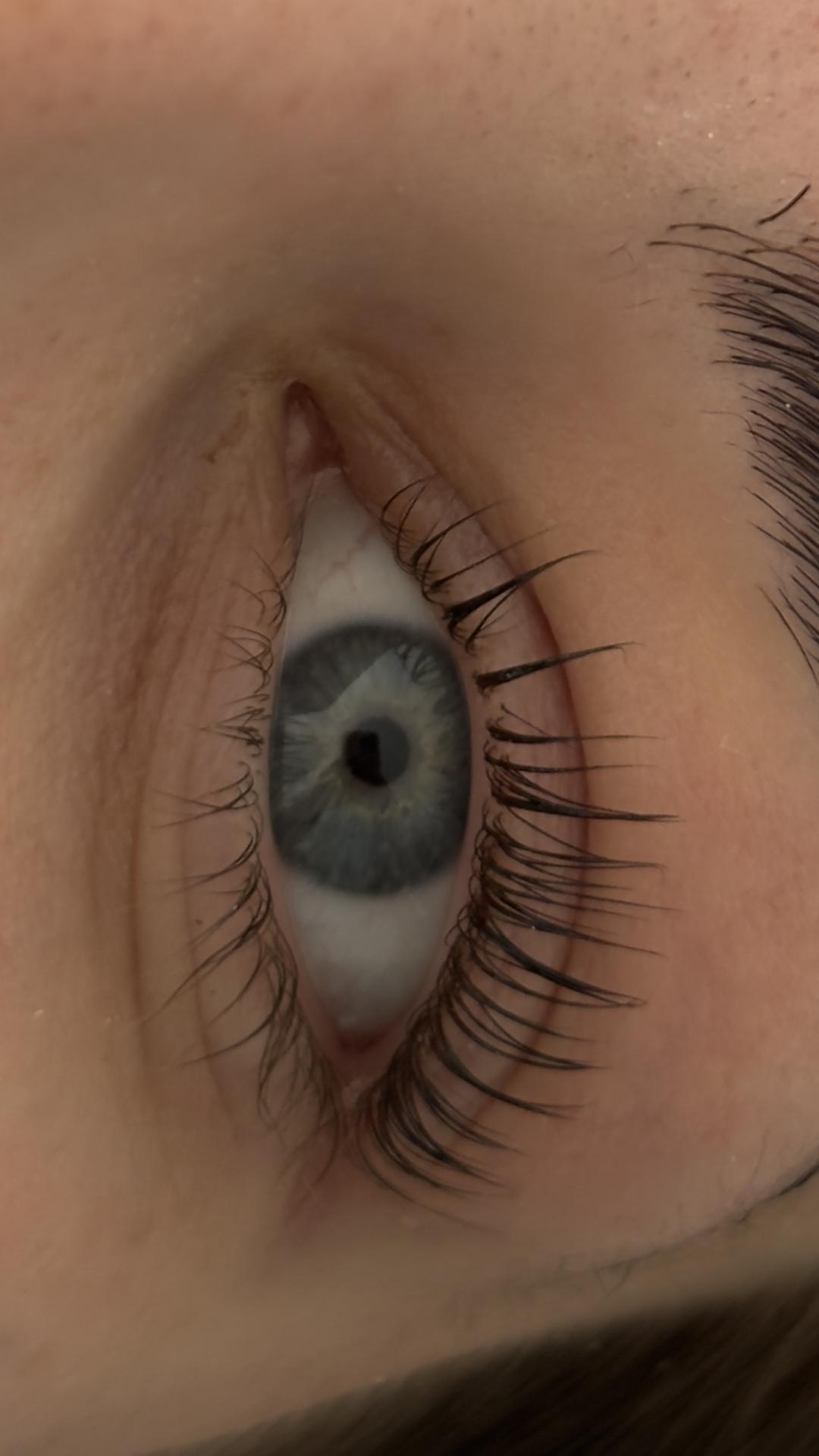 Lola esthetic center #beograd Trepavice Lash lift