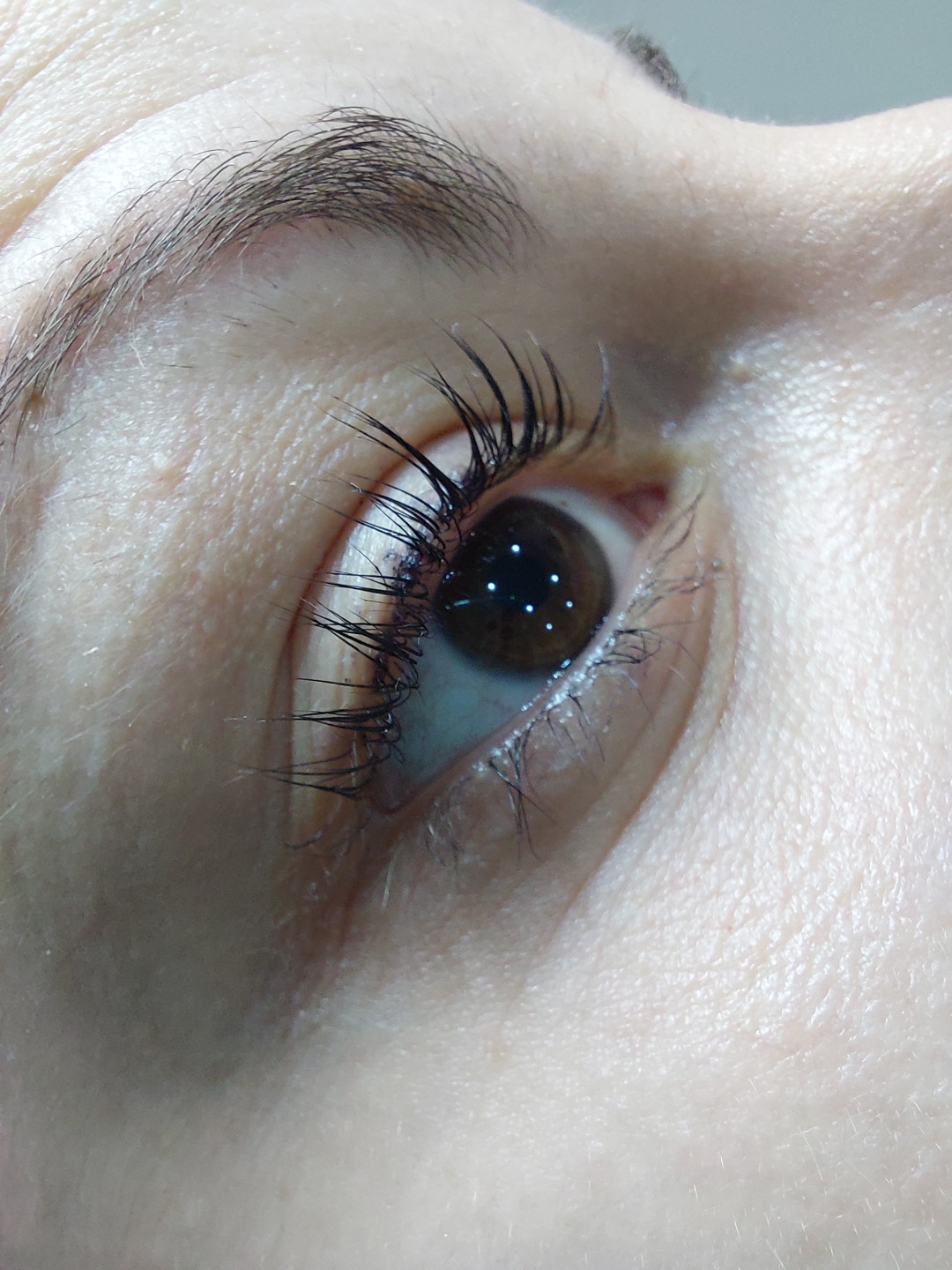 Beauty Palace by M #beograd Trepavice Lash lift + farbanje