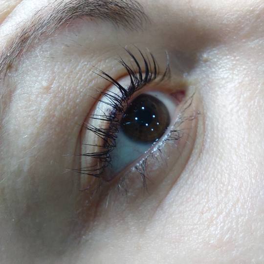 Beauty Palace by M #beograd Trepavice Lash lift + farbanje