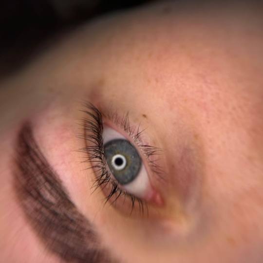 Lala Studio #beograd Trepavice Lash lift