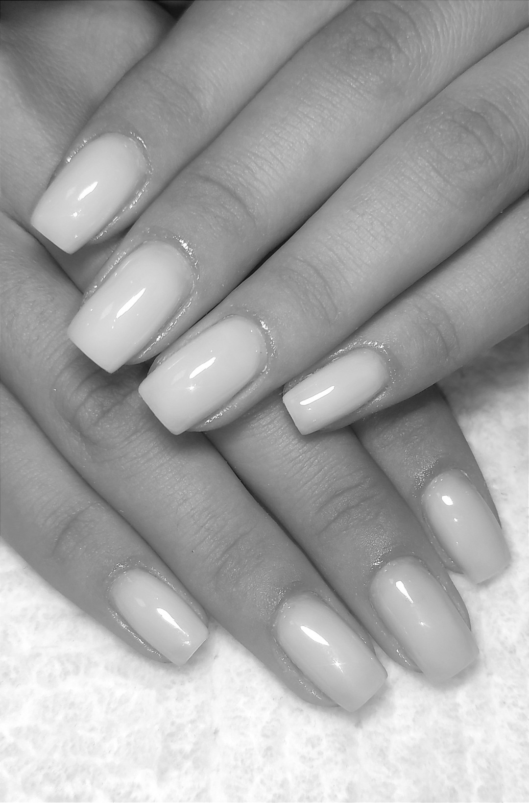 Studio Diva Lux #nis