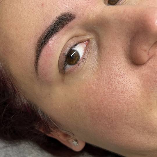Beauty Studio Asja 2 #novisad Obrve Dizajn obrva kanom