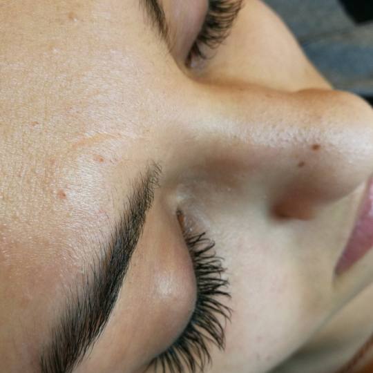 Afrodita Beauty studio #beograd Nadogradnja trepavica