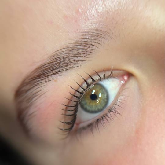 Kult #beograd Trepavice Lash lift + botox