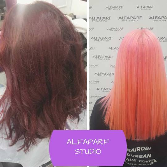 Alfaparf Studio #beograd Farbanje kose Farbanje cele dužine - duga kosa
