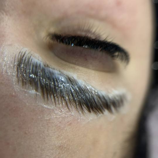 Beauty studio S #novisad Obrve Brow lift