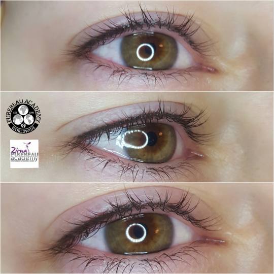 Zirna Exclusive Beauty Center #novisad Trajna šminka