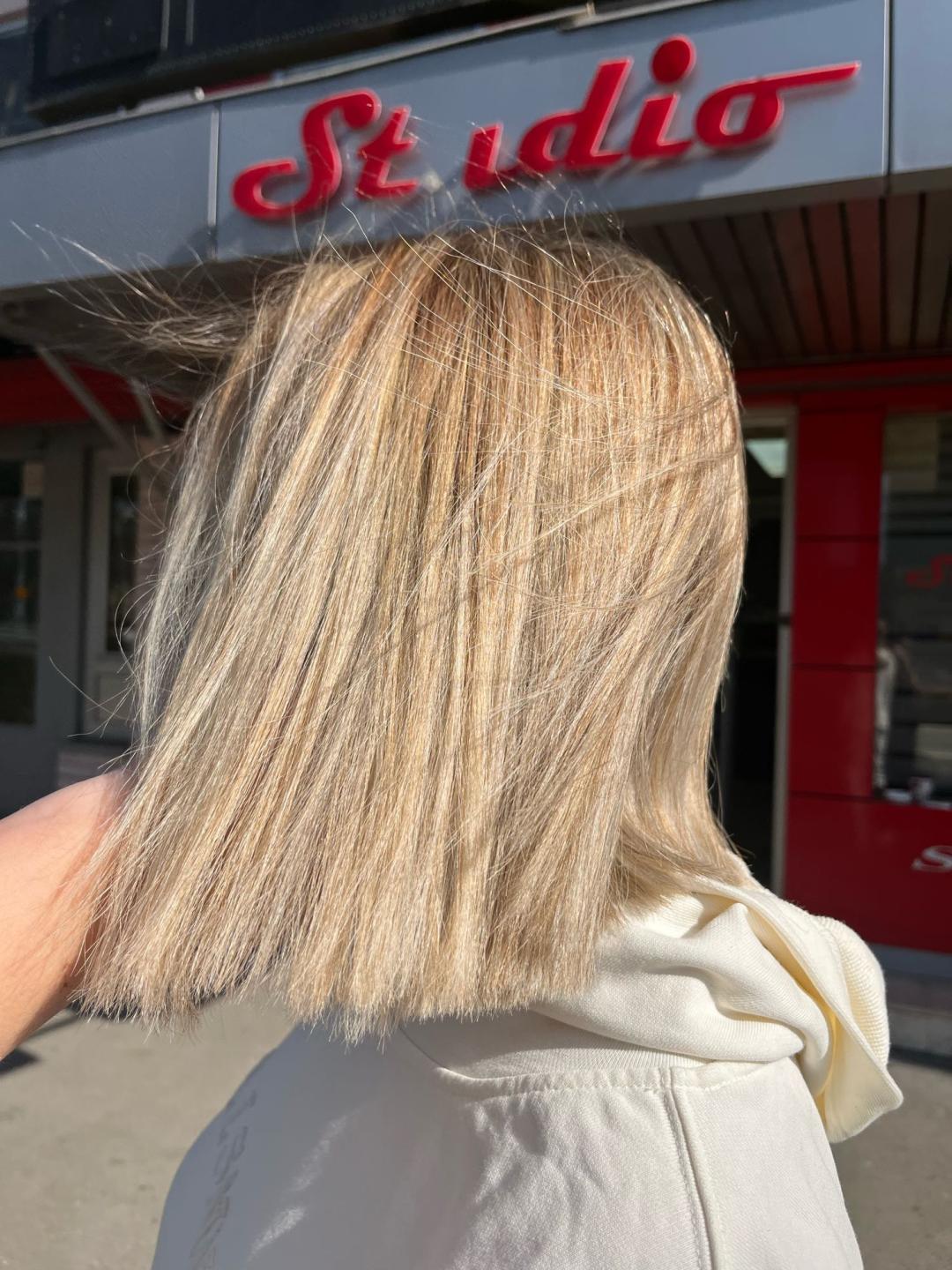 Royal cut - No Limit, Beograd LookBook