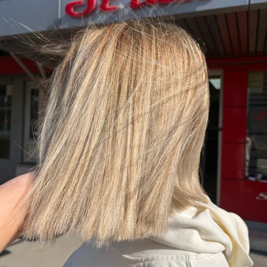 Royal cut - No Limit #beograd