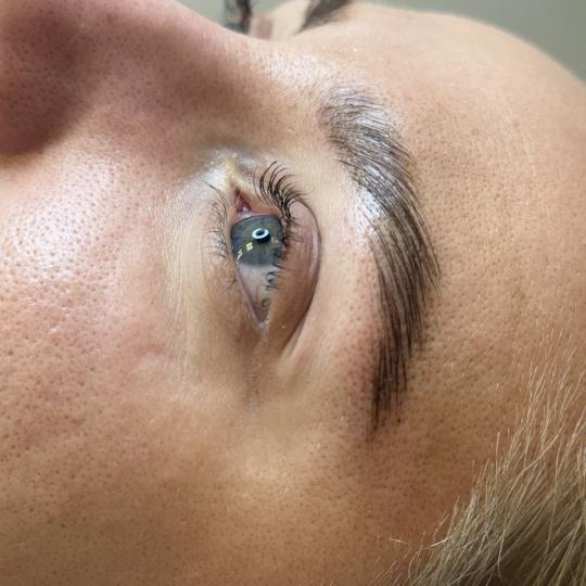 The Maya #beograd Obrve Brow lift + lash lift + farbanje obrva i trepavica