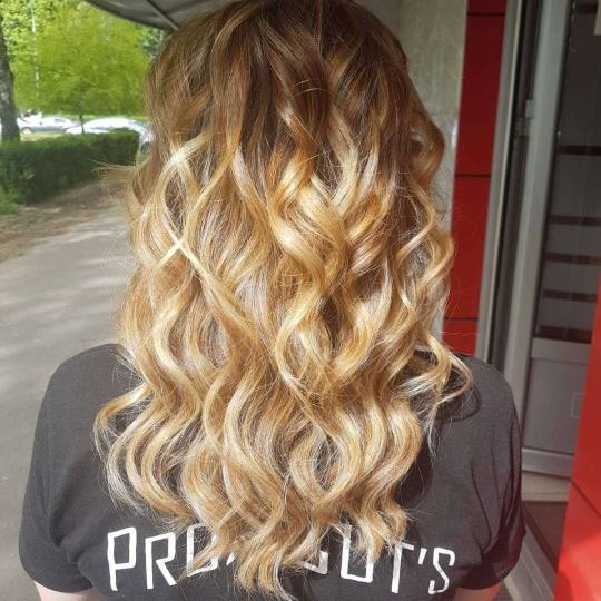 Royal cut - No Limit #beograd