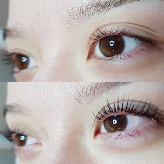Beauty place Princess #beograd lash lift trepavica