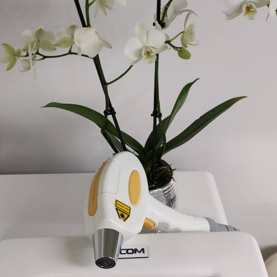 Be YOU tiful #novisad Laserska epilacija Laserska epilacija cele noge + cela intima - za dame