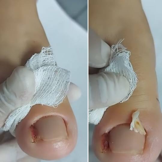 Bellavana studio usluga