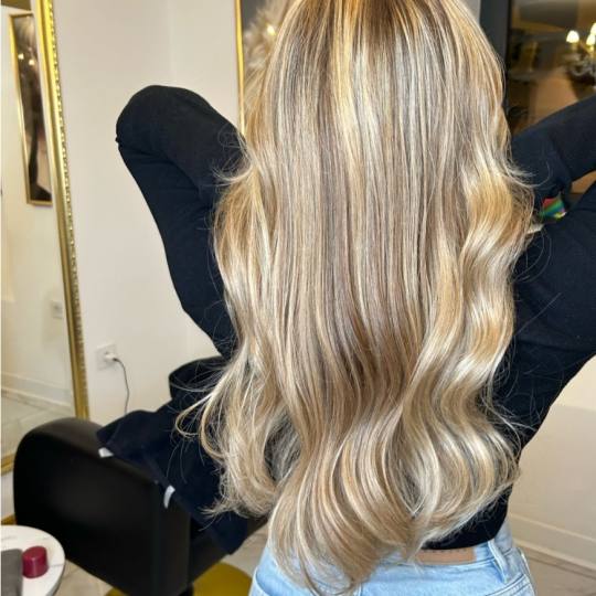 Esthetique Privé #beograd Pramenovi GOLDWELL Pramenovi + preliv + feniranje - duga kosa