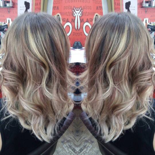 Pro Cut Zemun #beograd