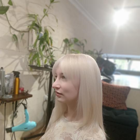 Frizerska Radionica #beograd Blajhanje kose Blajhanje + preliv + nega kose - duga kosa