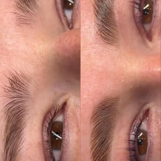Alexandria Brow&Beauty lounge #beograd Trepavice Brow beauty&care paket