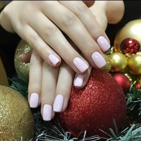 Vanila Pure #novisad