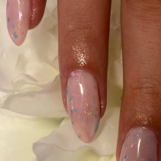 Beauty Rose Concept #beograd